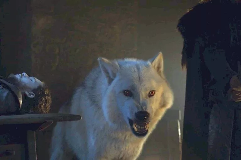 Lobo Terrível: de Game of Thrones para o Mundo Real