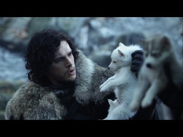 Jon Snow com um Lobo Terrível